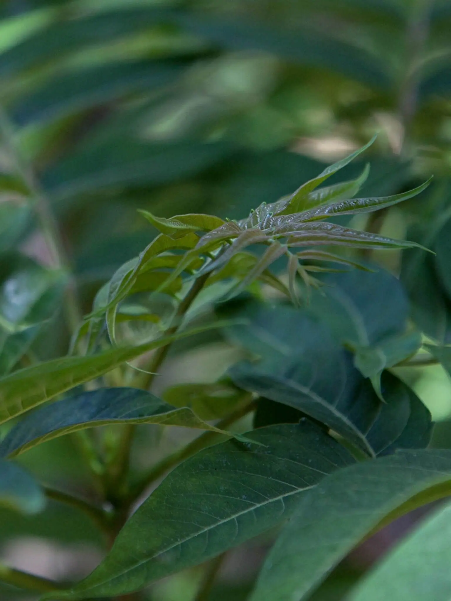 Αειφορία σε δράση: