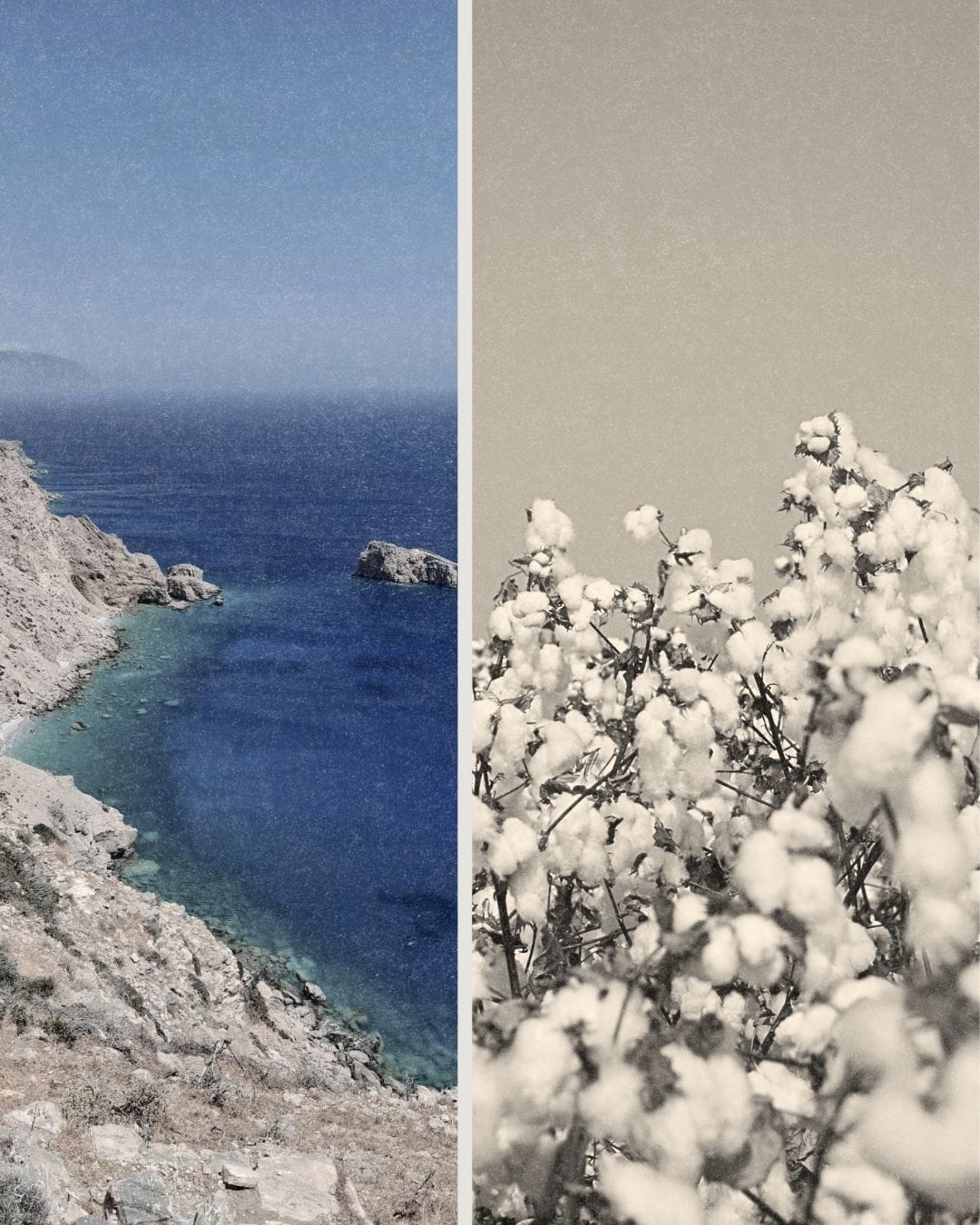 Do Swimsuits Release Microplastics? What Science Says